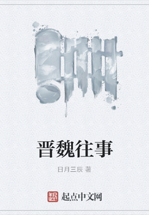 晋魏往事
