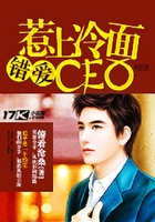 錯愛：惹上冷面CEO在線閱讀