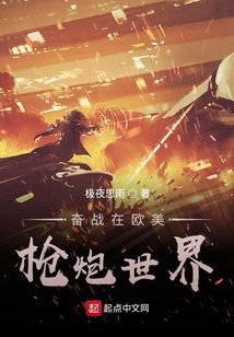 奋战在欧美枪炮世界