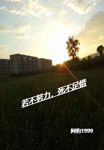 若不努力，死不足惜
