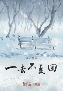 一去不復(fù)回