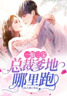 一胎三寶:總裁爹地哪里跑