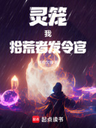 灵笼:我,拾荒者发令官!在线阅读