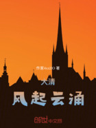 大清,风起云涌在线阅读