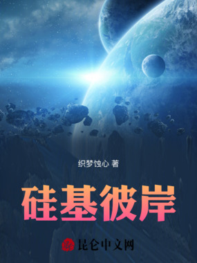 硅基彼岸在线阅读