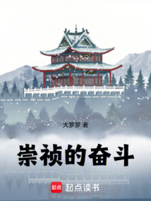 崇禎的奮斗！