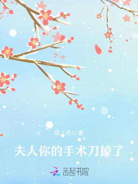 夫人，你的手术刀掉了在线阅读