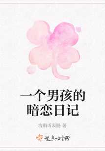 一個(gè)男孩的暗戀日記
