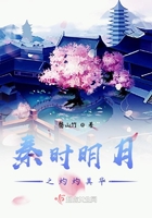 秦時明月之灼灼其華在線閱讀