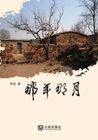 那年那月在線閱讀