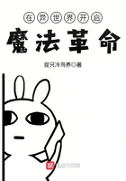 在異世界開啟魔法革命在線閱讀