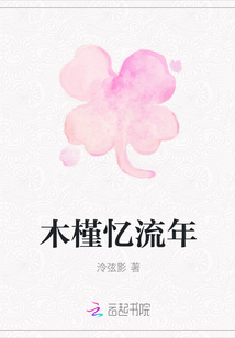木槿憶流年