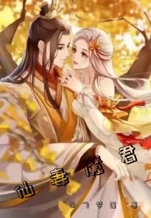 仙妻魔君