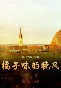 橘子味的晚風(fēng)