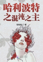 哈利波特之混沌之主在线阅读