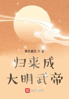 归来成大明武帝在线阅读