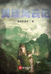 翼瑾風云記