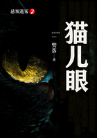 悬案迷雾2：猫儿眼在线阅读