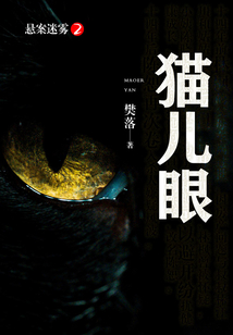 懸案迷霧2：貓兒眼