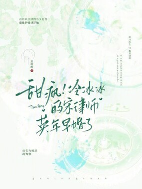 甜疯!冷冰冰的宋律师英年早婚了在线阅读