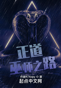 正道巫師之路
