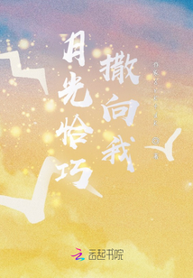 月光恰巧撒向我