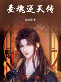 圣魂逆天傳