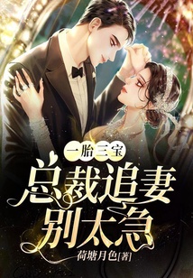 一胎三寶:總裁追妻別太急