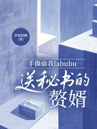 手撕偷我labubu送秘书的赘婿在线阅读