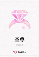 圣尊在線閱讀
