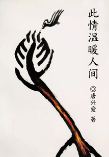 此情温暖人间