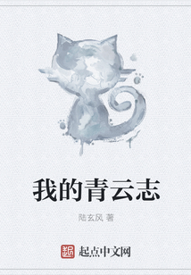 我的青云志