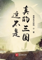 這不是真的三國(guó)在線閱讀