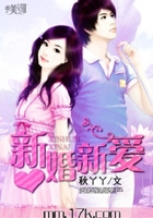 新婚新爱在线阅读