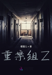重案组Z