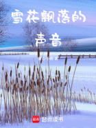 雪花飘落的声音