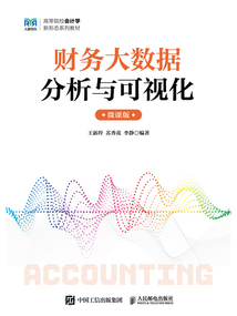 財務大數據分析與可視化（微課版）
