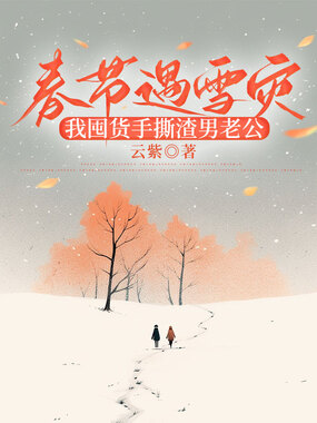 春节遇雪灾，我囤货手撕渣男老公在线阅读