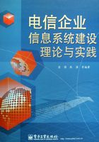 电信企业信息系统建设理论与实践在线阅读