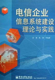 電信企業(yè)信息系統(tǒng)建設(shè)理論與實踐