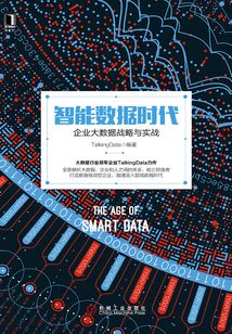 智能數(shù)據(jù)時代:企業(yè)大數(shù)據(jù)戰(zhàn)略與實戰(zhàn)