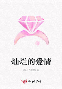 灿烂的爱情