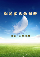劃過藍天的翅膀在線閱讀