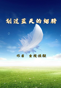 劃過藍(lán)天的翅膀