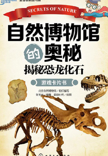 自然博物館的奧秘：揭秘恐龍化石
