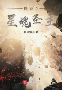 网游之星魂圣主