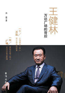 王健林:萬達廣場的背后