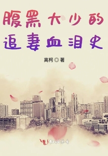 腹黑大少的追妻血淚史