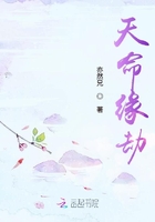 天命緣劫在線閱讀