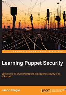 Learning Puppet Security